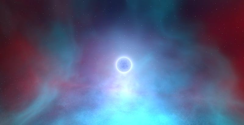 Stardust Portraits